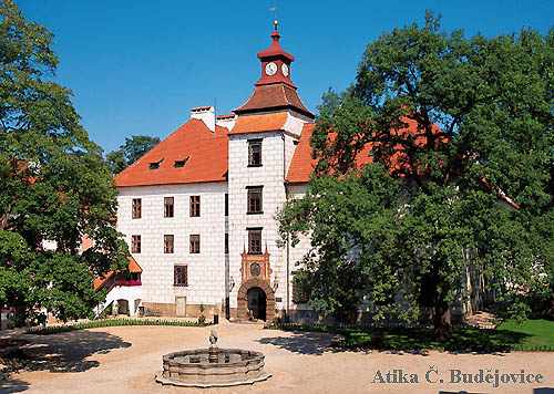 Wittingau